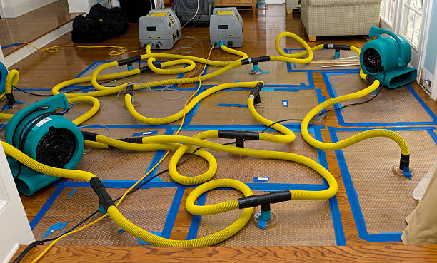 Professional Storm Water Damage Restoration technician working in Truro, MA